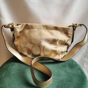 Coach Signature Small Hobo Bag